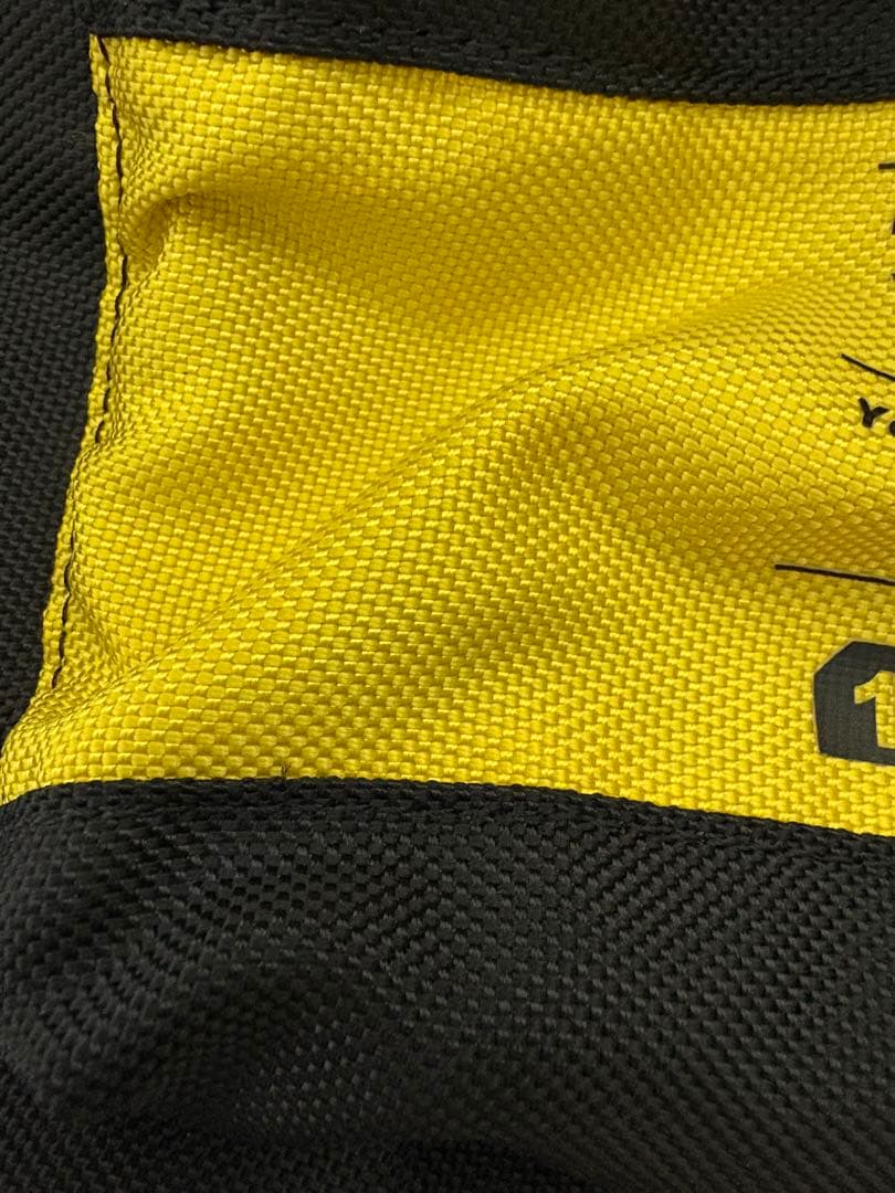 【希少】　ゆず　ゆずの輪　20周年　リュック