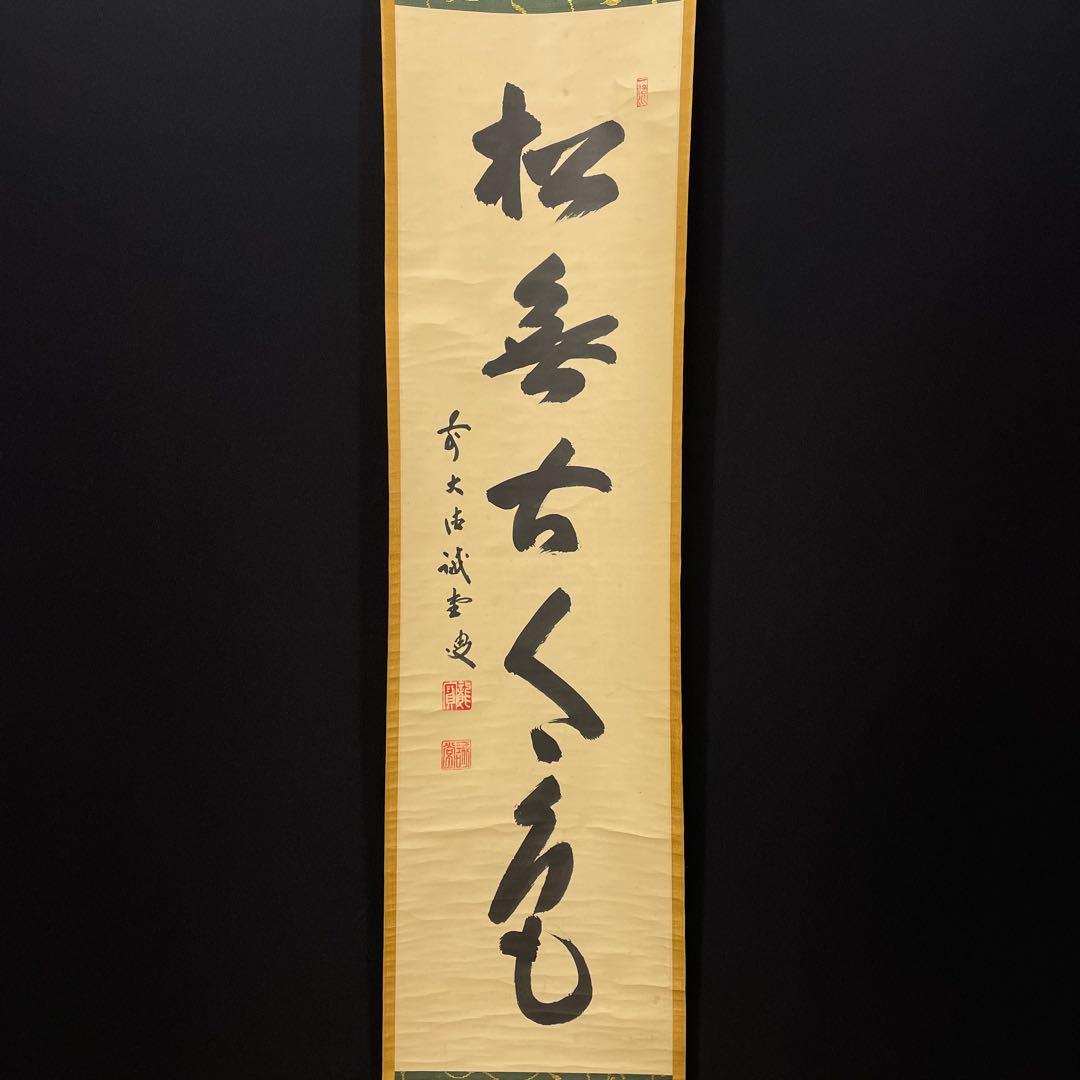 4103 藤井誡堂 「松無古今色」 共箱 肉筆 紙本 掛軸 臨済宗 大徳寺 禅語