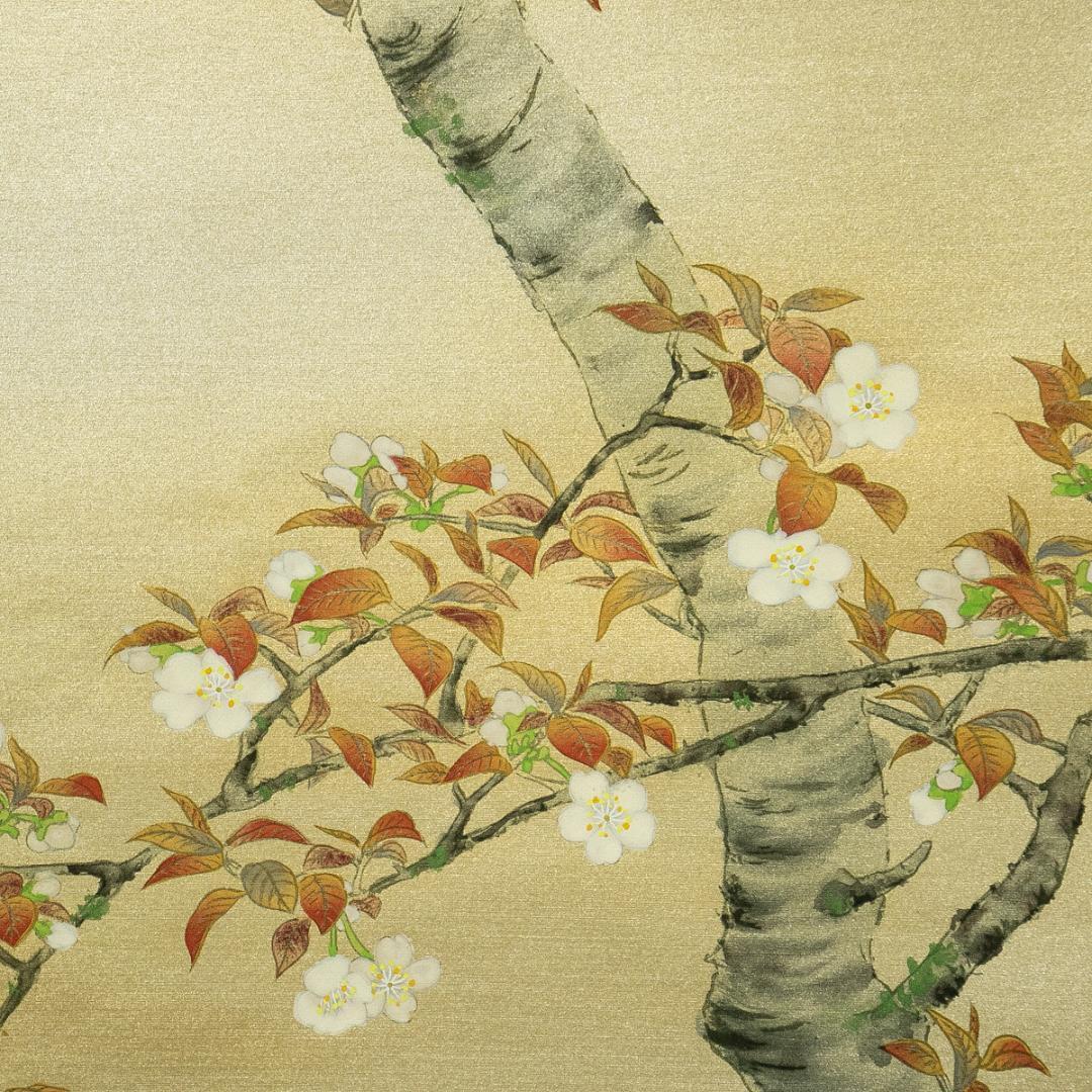 掛軸-1769　国井道成　山桜　共箱