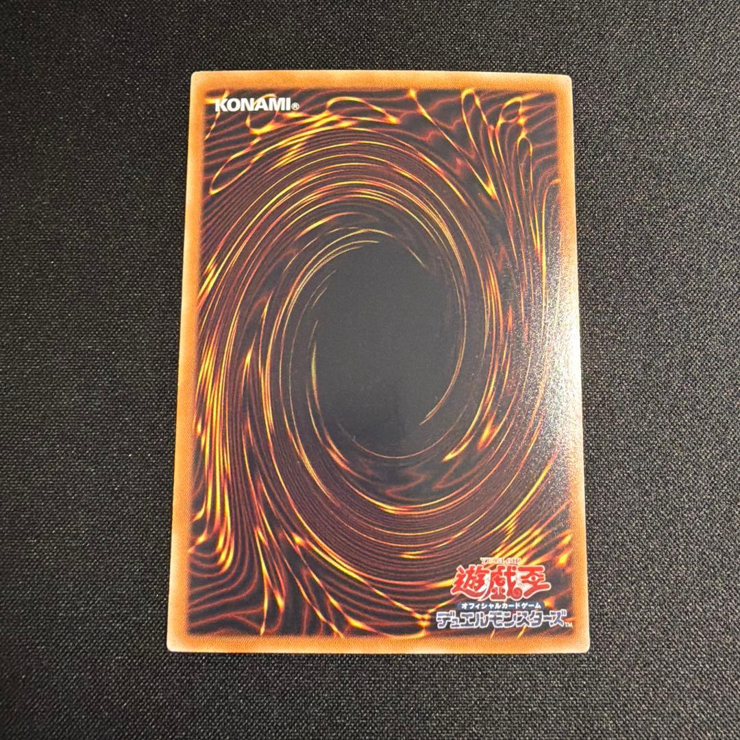 ブラックローズドラゴン ホロ 遊戯王