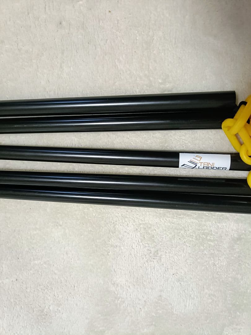 谷 真一郎監修　タニラダー　ジュニア用　DVD付