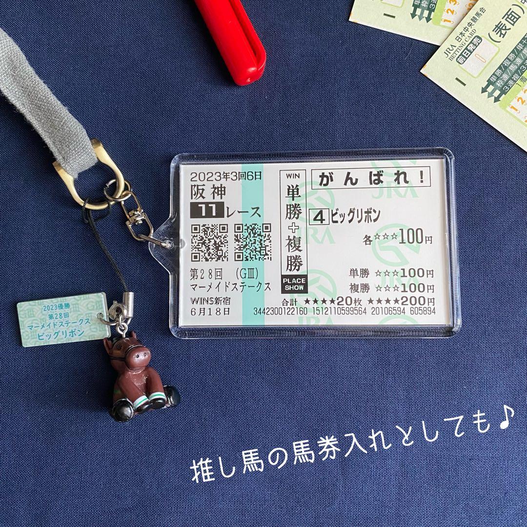 マスカレードボール 2025日本ダービー応援馬券【カラーコピー】＋馬券