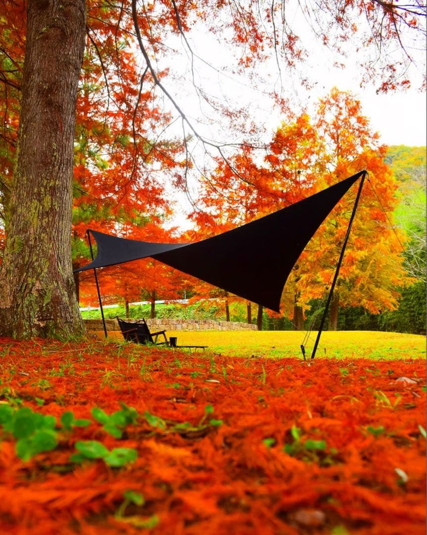 telo looks ブラック タープ