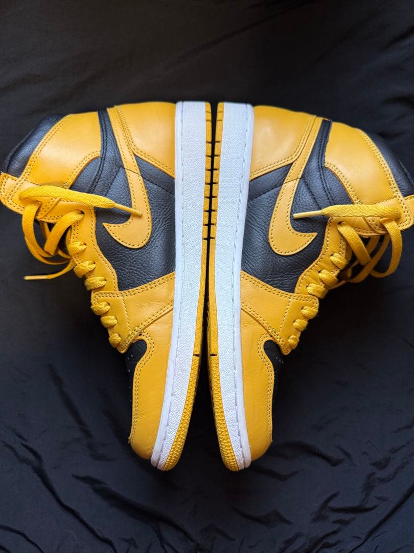 NIKE Air Jordan 1 Retro High OG “Pollen”