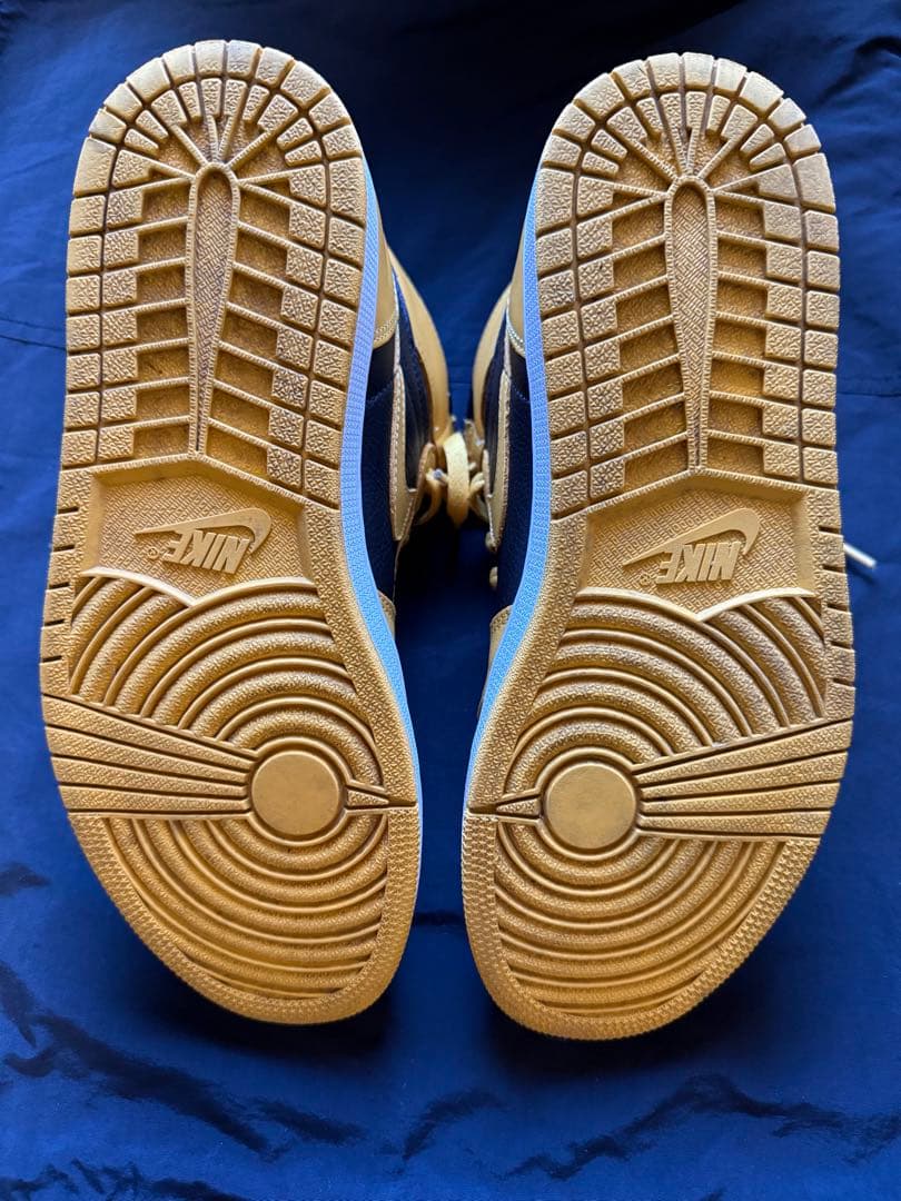 NIKE Air Jordan 1 Retro High OG “Pollen”