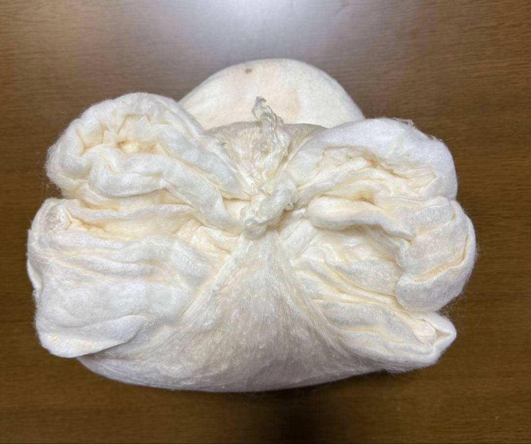 帽子真綿　480.5g