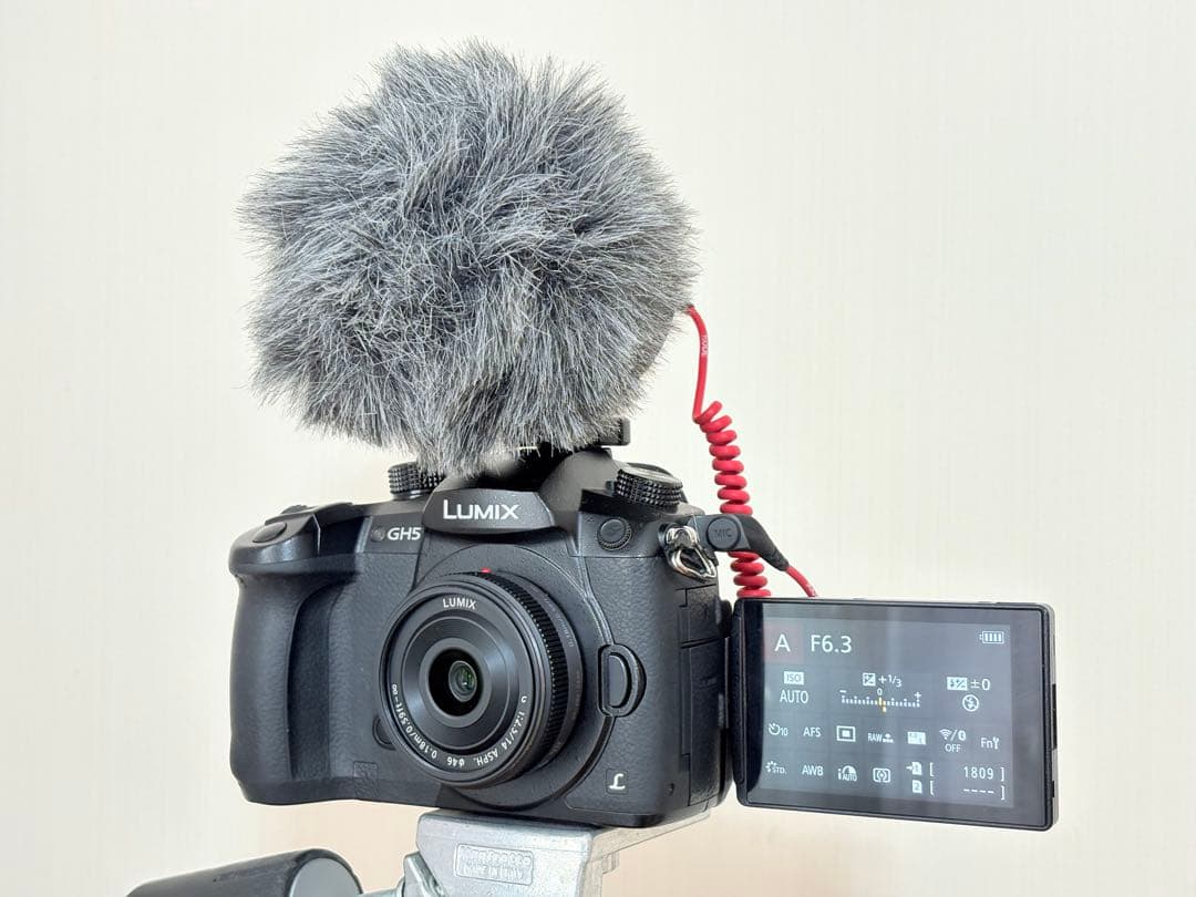 4K録画におすすめ 訳あり パナソニックGH5単焦点レンズ、外付けマイク付き 4K録画におすすめ 訳あり パナソニックGH5単焦点レンズ、外付けマイク