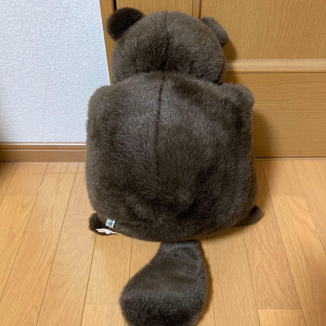 たま吉 たぬき ぬいぐるみ ファースト