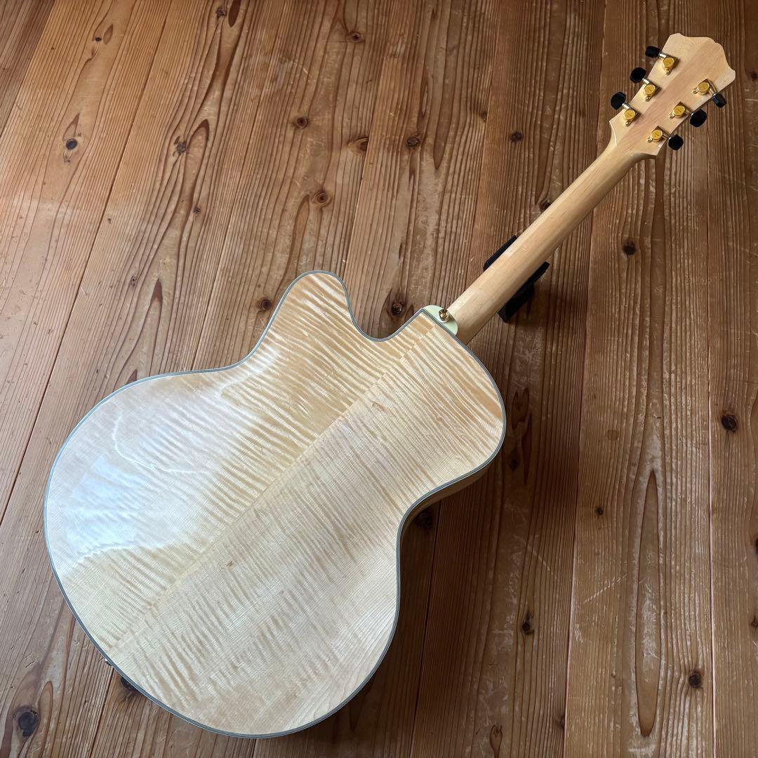 2019年製 Eastman AR810CE - ギター人気