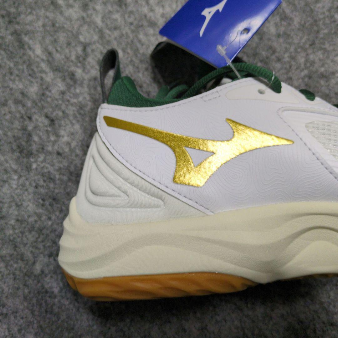 限定カラー　ウェーブモーメンタム3 25.0cm