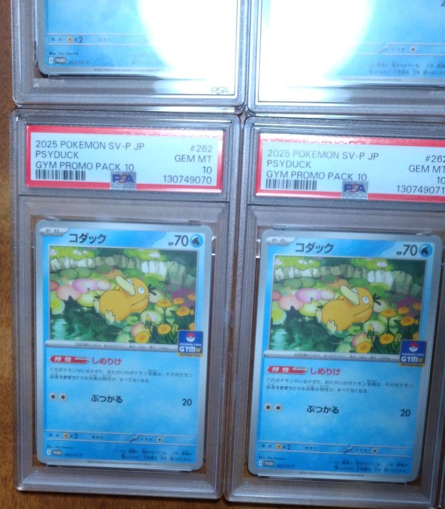 【PSA10】コダック しめりけ 262/SV-P ジムプロモ 10枚 連番