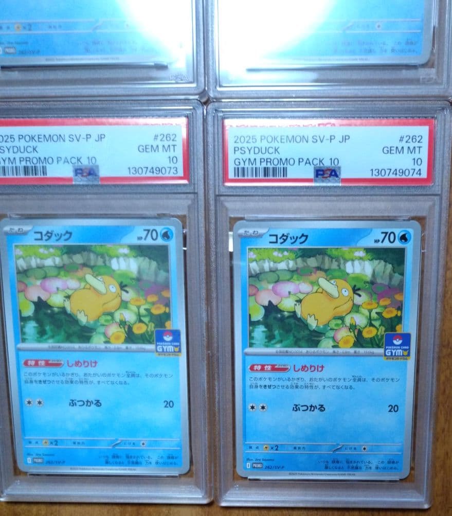 【PSA10】コダック しめりけ 262/SV-P ジムプロモ 10枚 連番