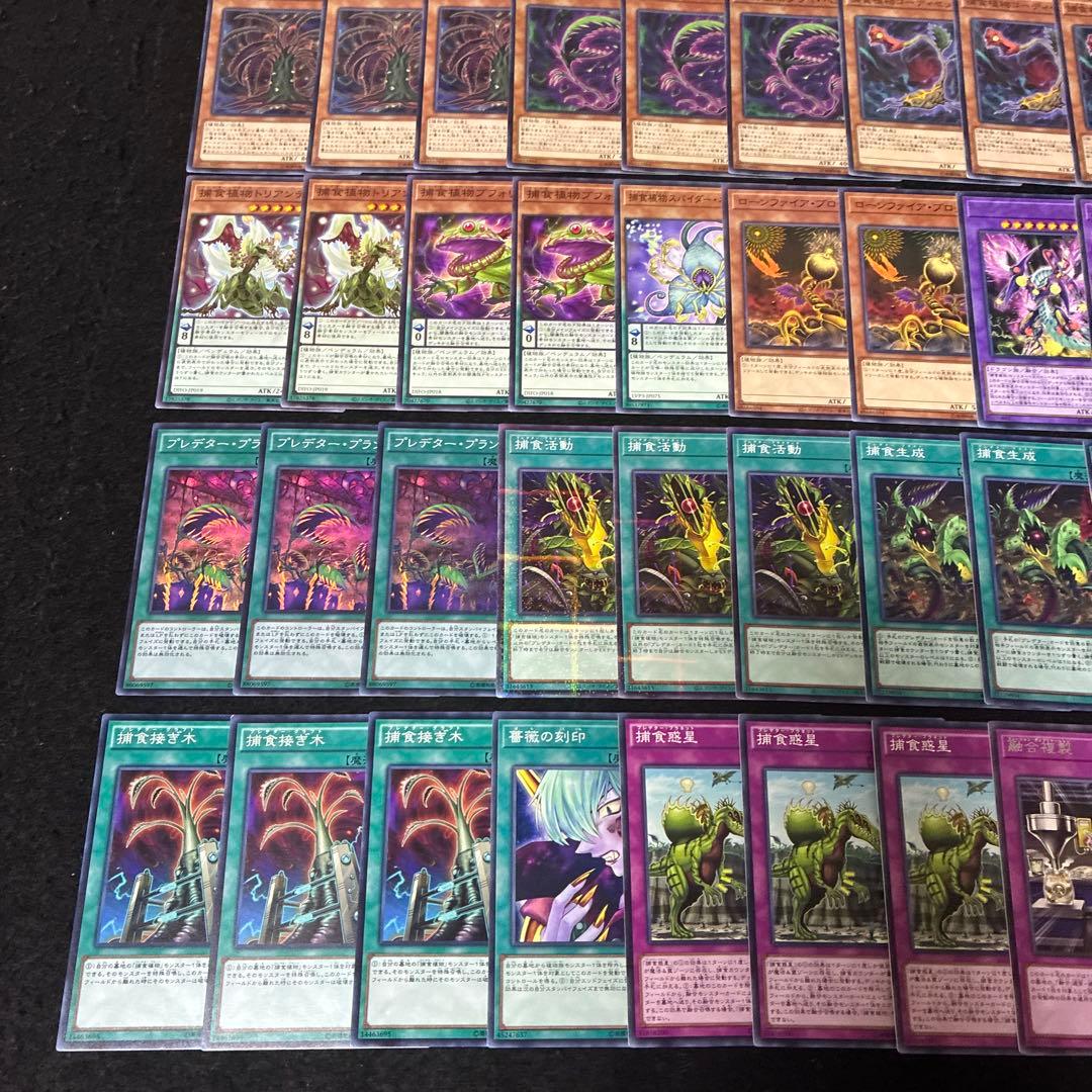 【即日発送】 遊戯王 «捕食植物(新規有)» 構築済みデッキ 115枚 日版