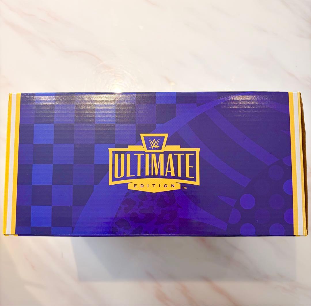 新品未使用未開封】WWE 公式 シュタイナーブラザーズ フィギュア 日本