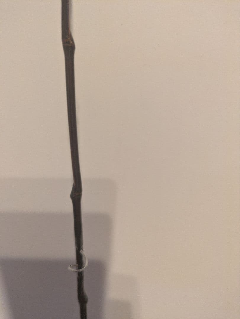 旭信 フライロッド 8.6ft バンブーロッド