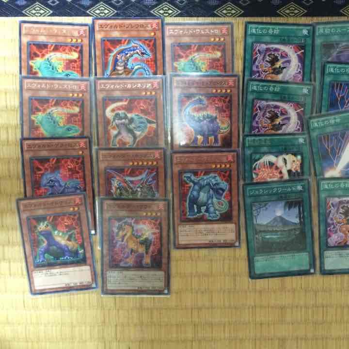 非公認大会優勝経験あり エヴォルガチデッキ