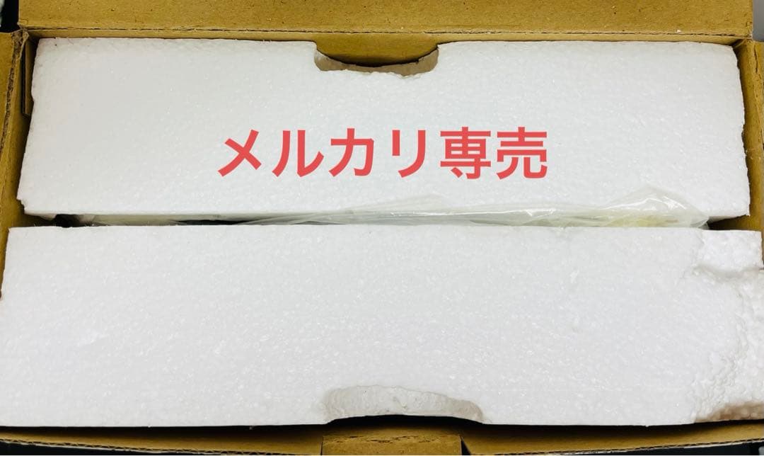 ディズニー　ホーンテッドマンション　温室の棺　フィギュア　世界500個