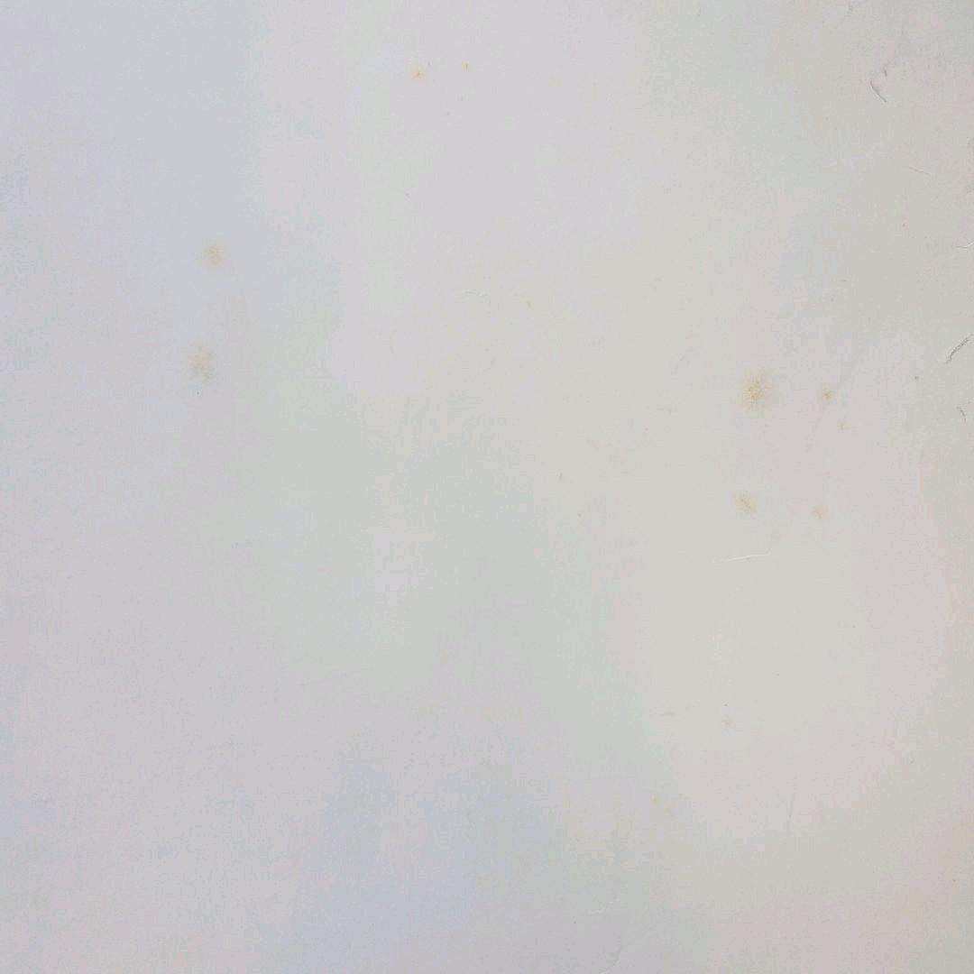 ドナルドフェイゲンポスター