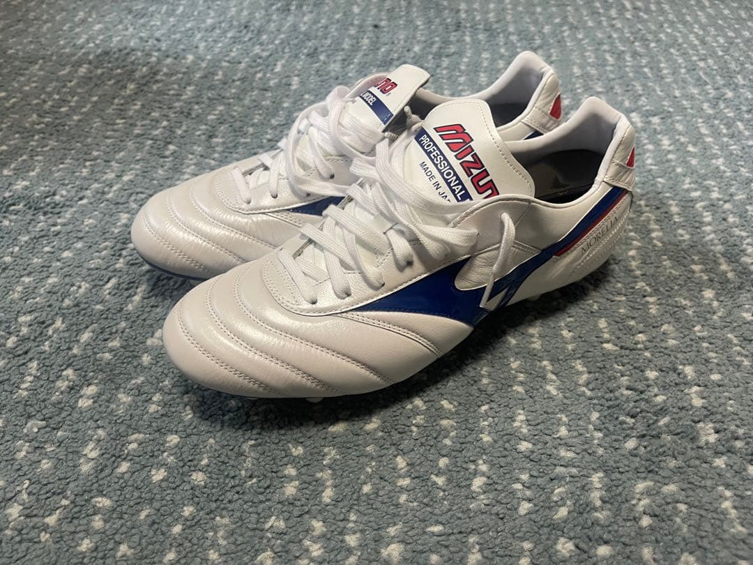 1500足限定カラー モレリア2Japan 28cm - メルカリ