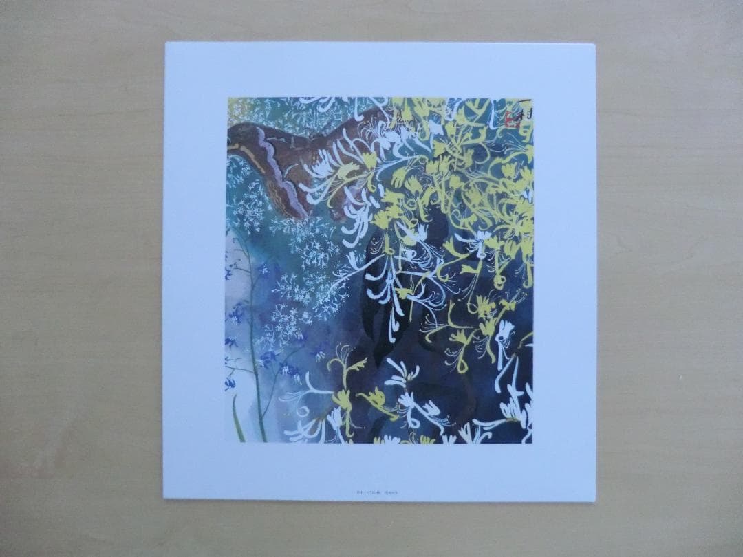 田中一村色紙傑作選 黒潮の画譜12景 額装版 日本放送出版協会 第1版