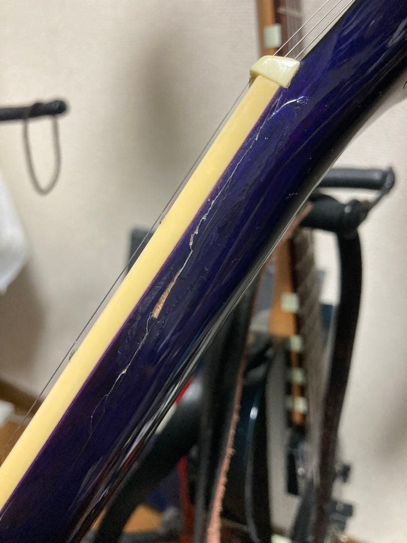 Epiphone les paul Standard レアカラー