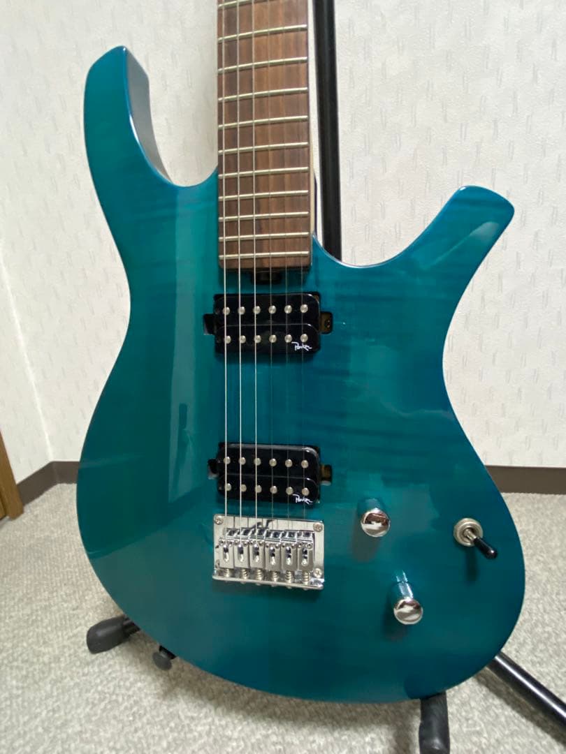 パーカー　エレキギター　ソフトケース付き