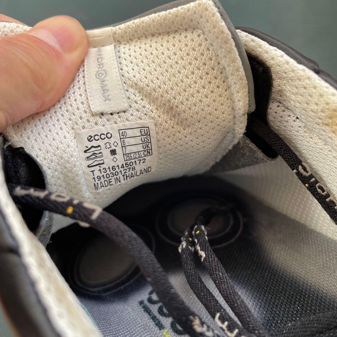 エコーゴルフシューズBion 25.5cm未使用 - メルカリ