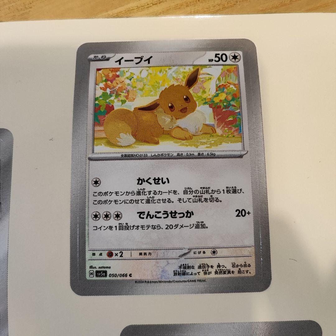 ポケパークカントー ショップ限定 イーブイ セット ピンズ ぬいぐるみ