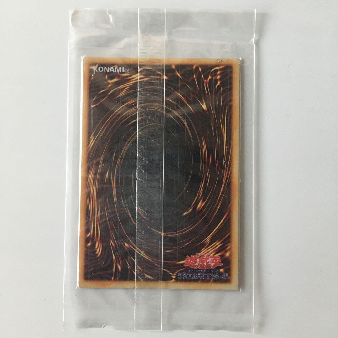 カオスソルジャー ステンレス 観賞用