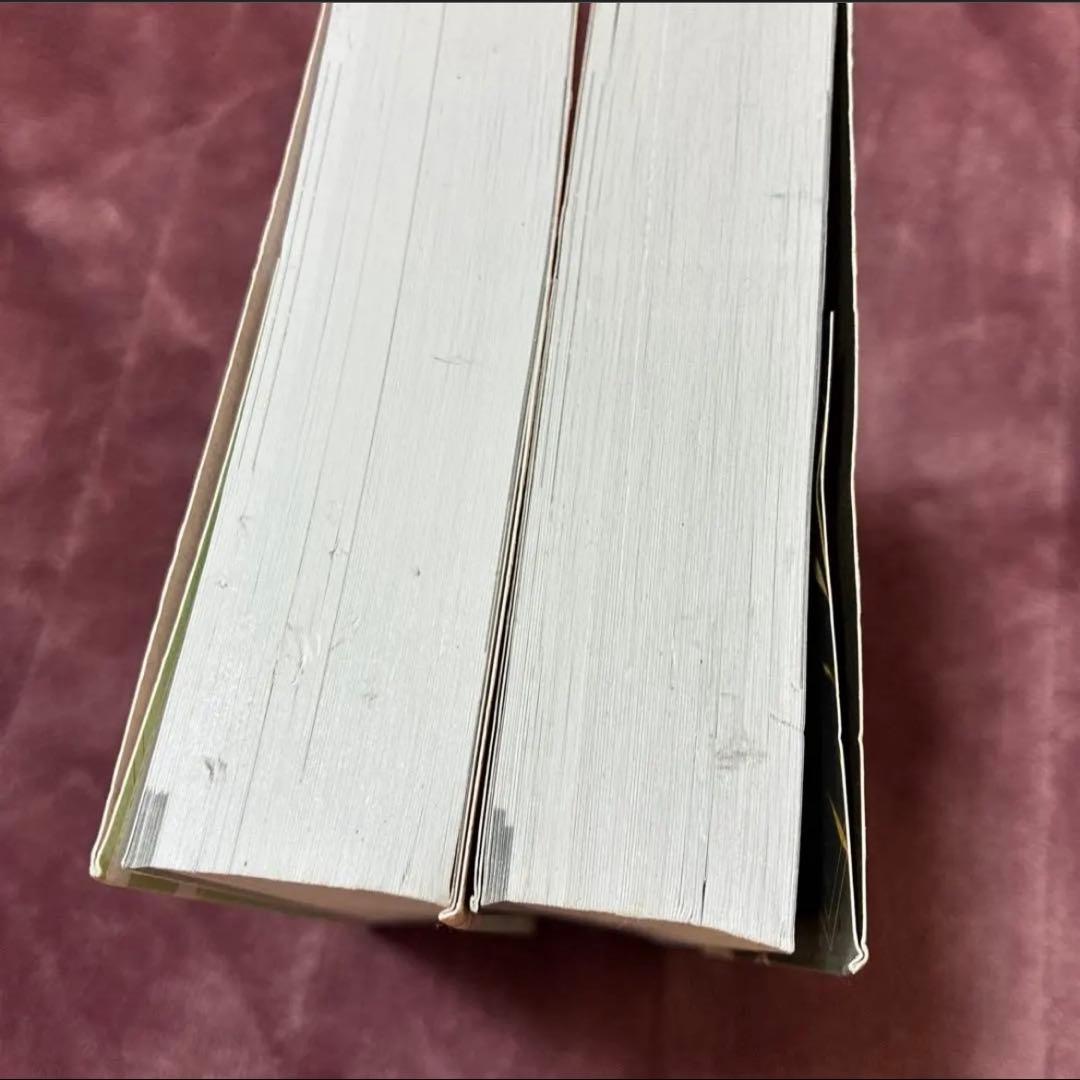 二哈和他的白猫師尊 邦訳1巻〜8巻＋英語版1、2巻 10冊セット - メルカリ