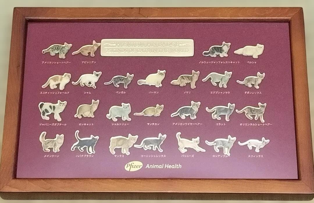 ファイザー社 世界の猫ピンバッチ 額入り セット - メルカリ