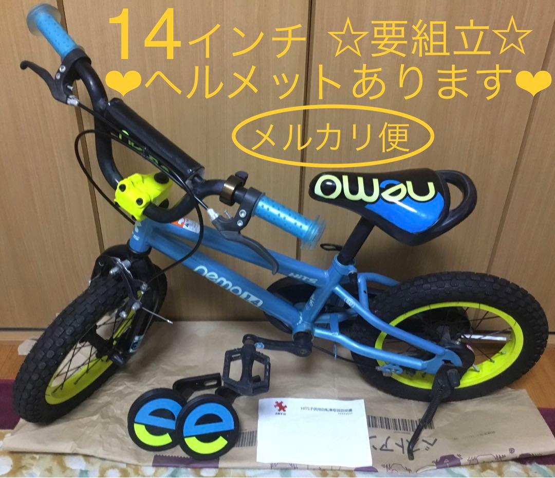 ポリッシュピカピカ❣️NORMANDY ノルマンディラージフランジハブ