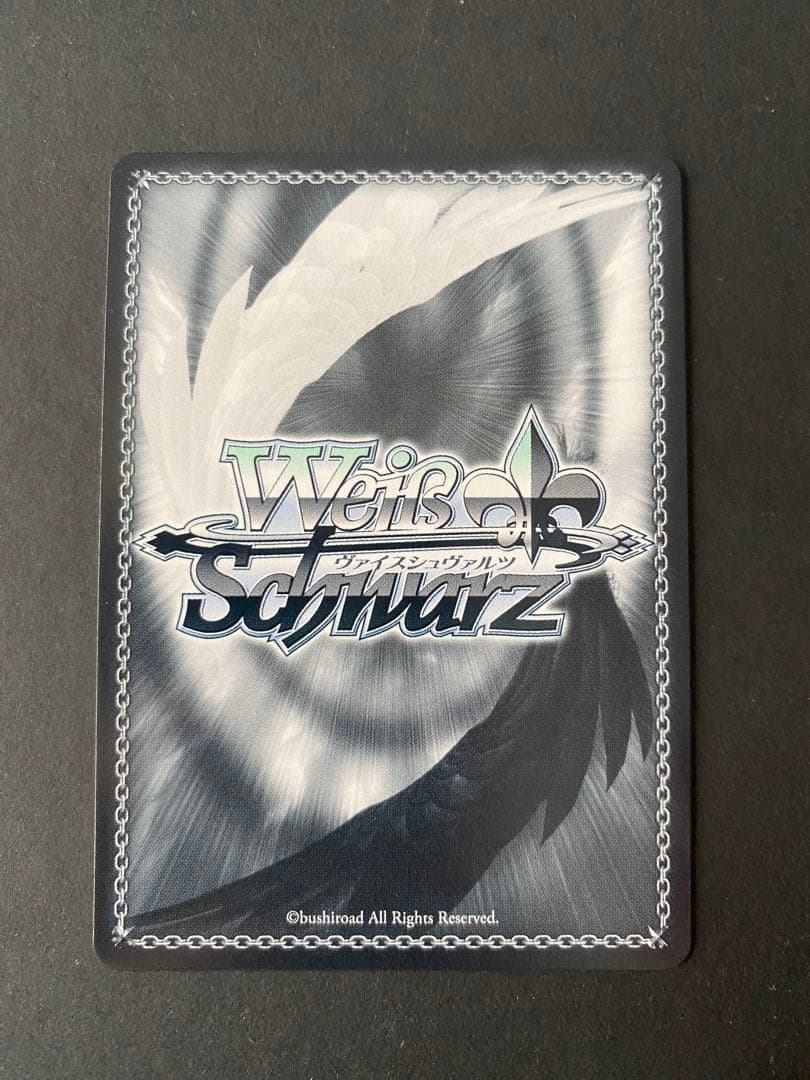 ヴァイスシュヴァルツ チノ エンヴィ SP