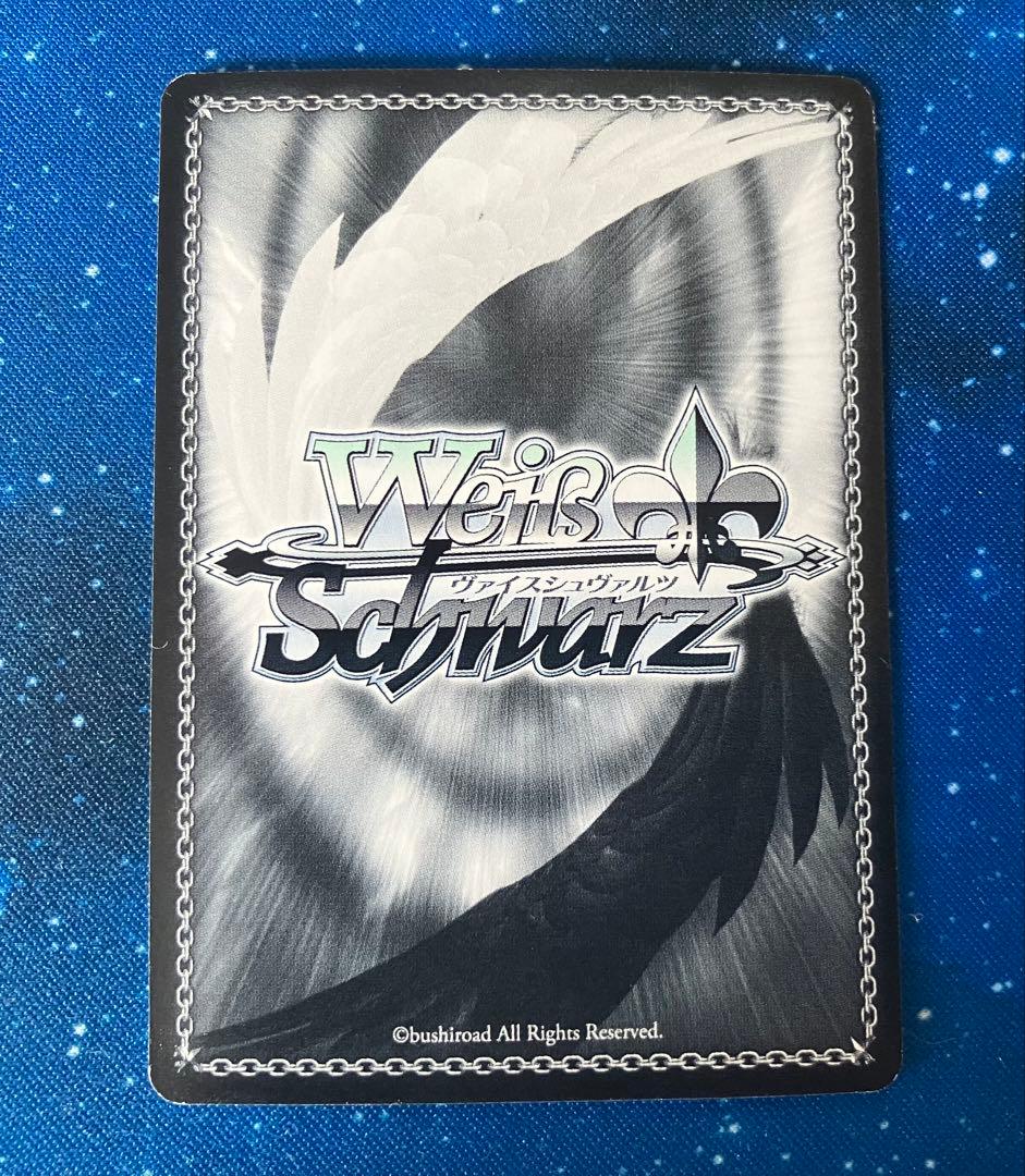 あたたかな眼差し ロキシー SSP