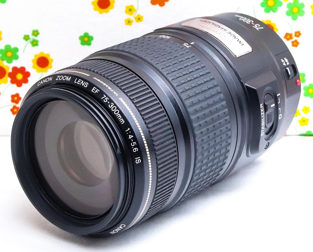 美品 Canon EF 75-300mm IS USM☆望遠レンズ☆フィルター付 Amazon.com : Canon EF 75-300mm f/4-5.6 III Telephoto Zoom Lens for