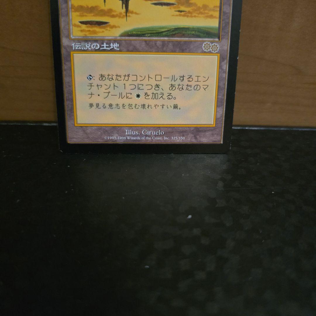 セラの聖域 MTG　②