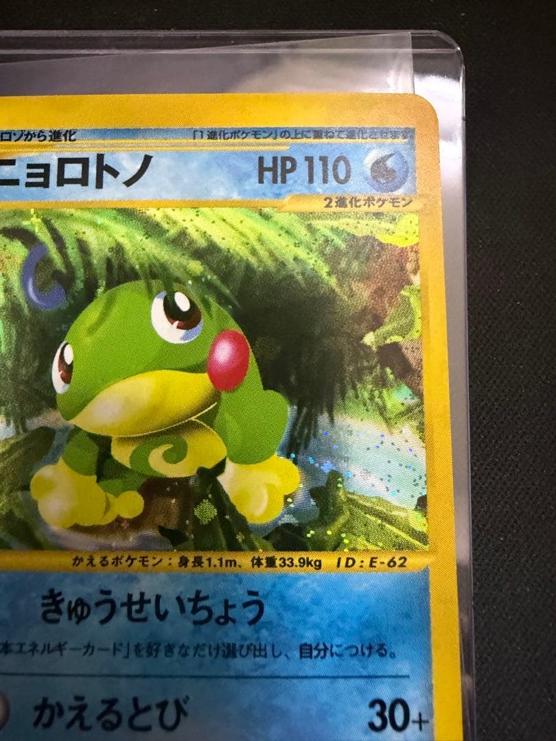 ニョロトノ 裂けた大地 031/088 アンリミ　渦巻き　十字ホロ