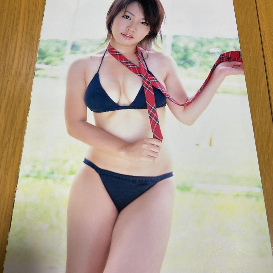 磯山さやか　ポスター6点、切り抜き