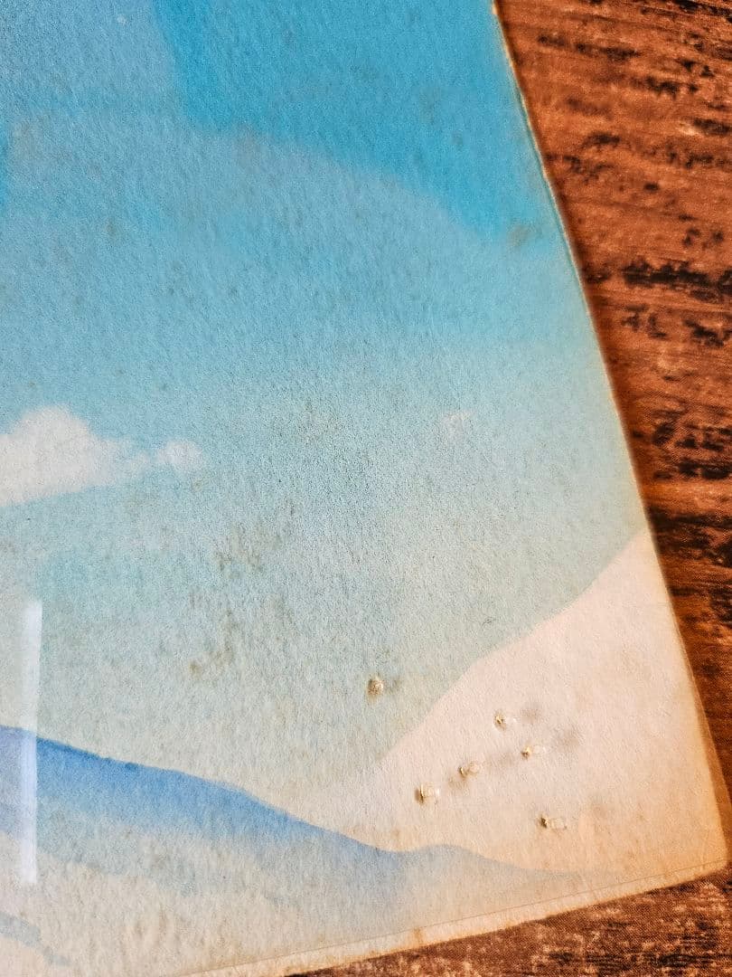 ドラゴンボールZ セル画 ラディッツ 孫悟空 A7