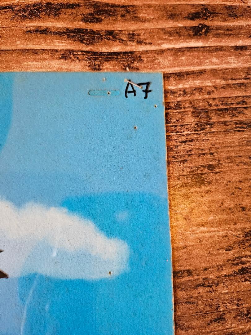 ドラゴンボールZ セル画 ラディッツ 孫悟空 A7