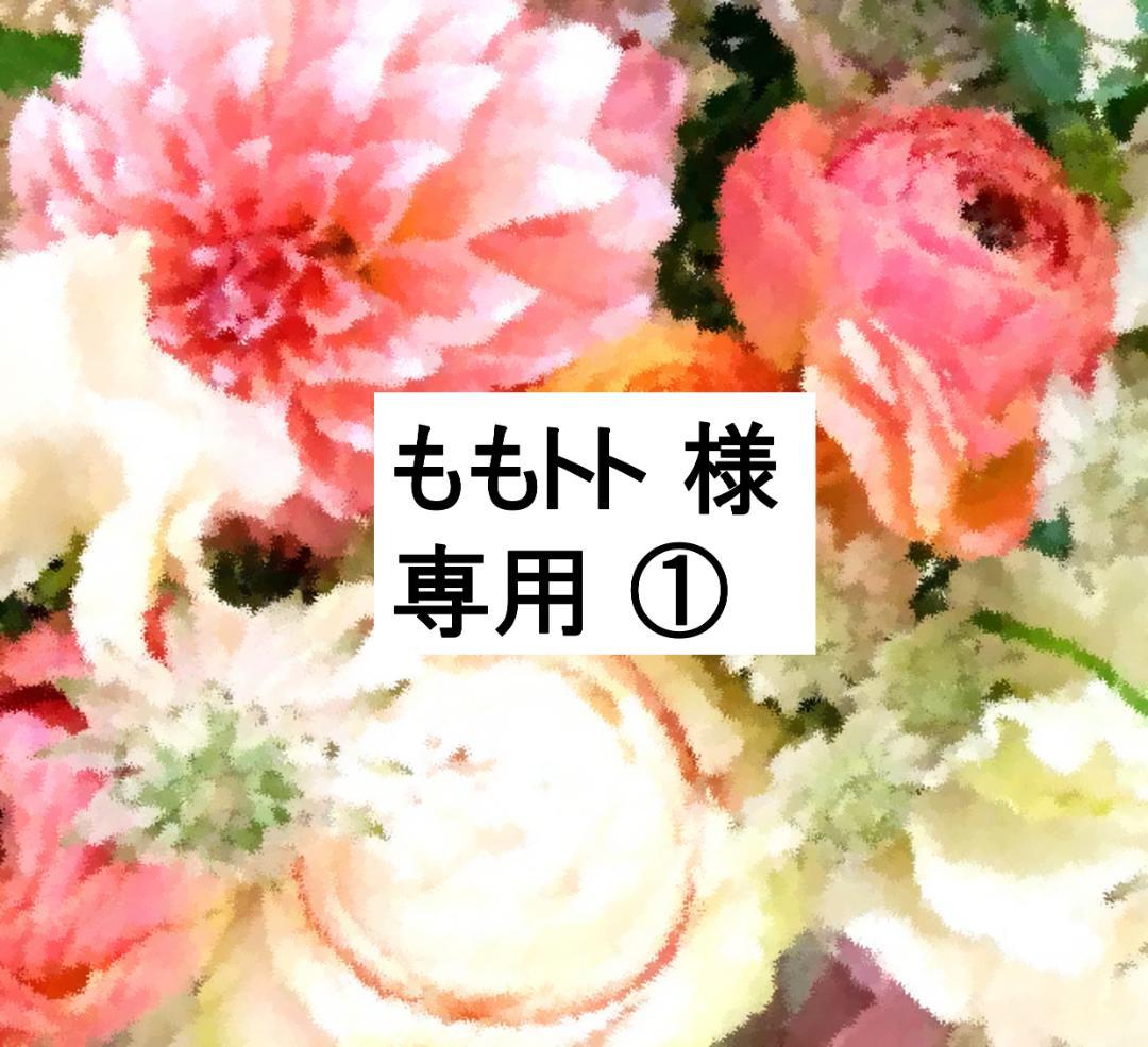 ももトト 様 専用① 2024年最新版 フルセット DWE ディズニー美品多数