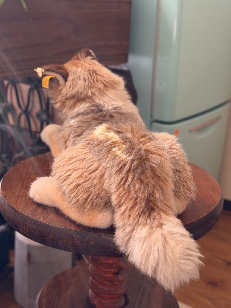 シュタイフ　コリー　オールドシュタイフ