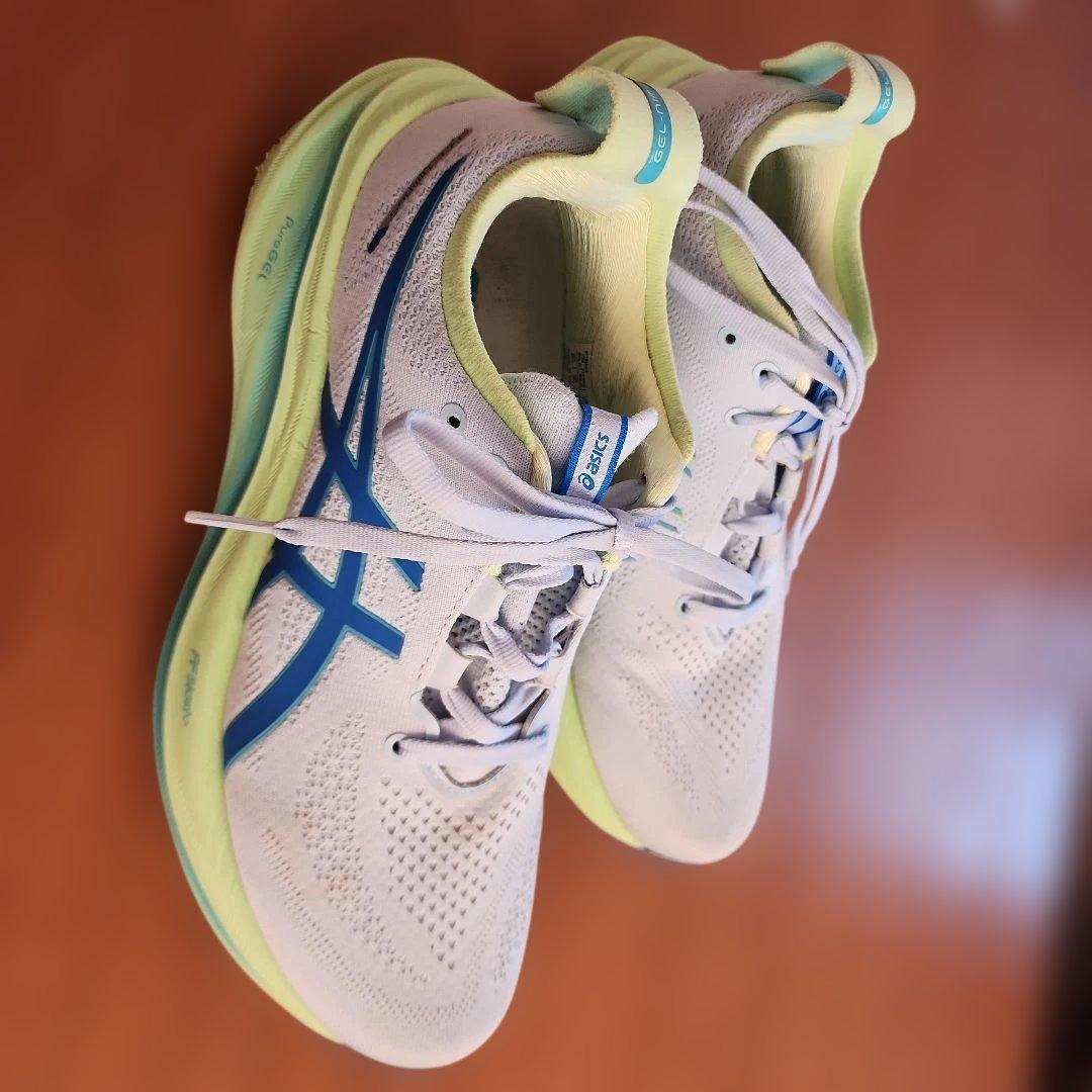 asics GEL-nimBUS FFBlast+　PureGEL 25.5cm