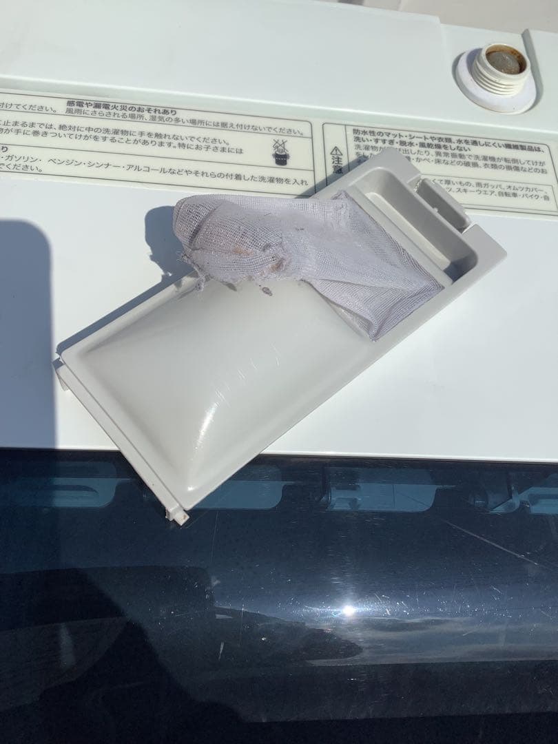 猫猫ネコネコ 洗濯機 ハイアール JW-CD55A 5.5kg 19年製