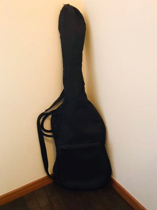 FERNANDES(フェルナンデス)のエレキギター(フロイドローズ)