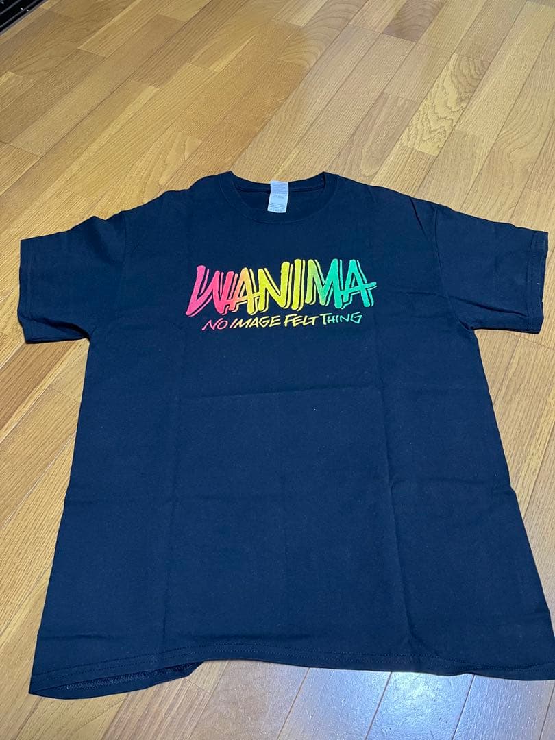 ミュージシャン WANIMA LIVE SET