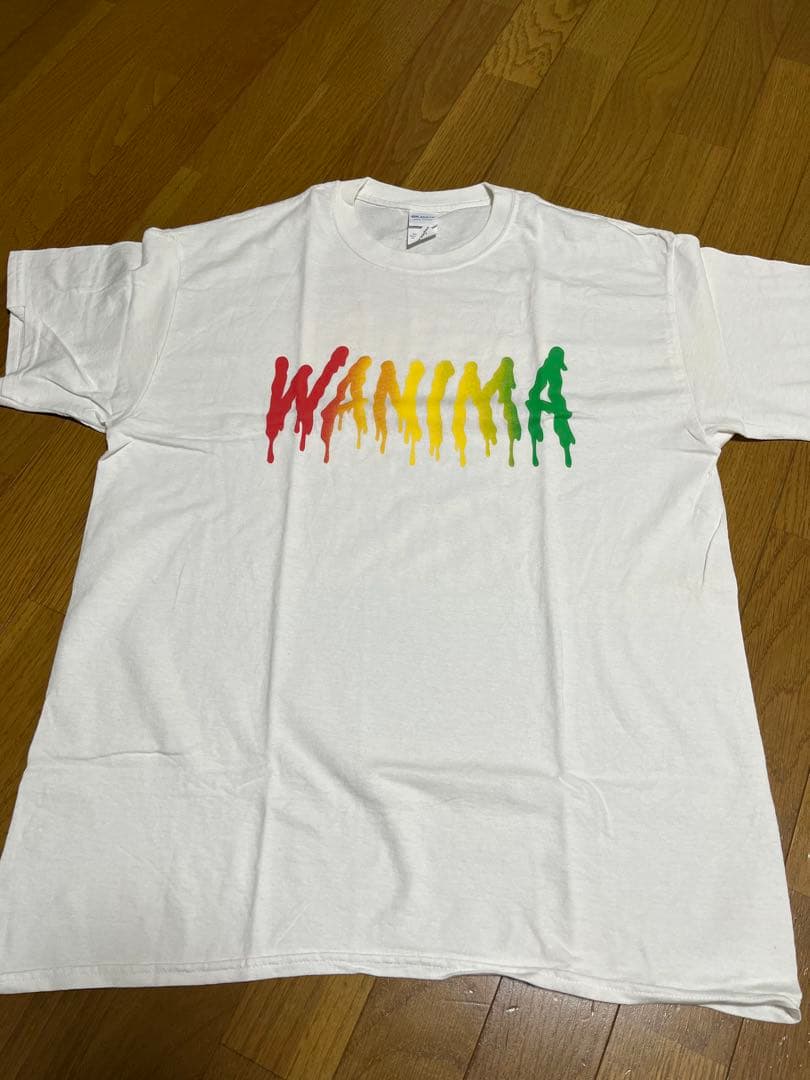 ミュージシャン WANIMA LIVE SET