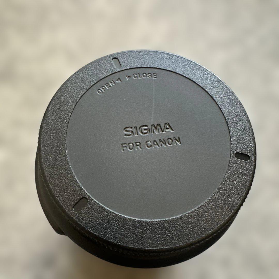 SIGMA 18-300mm f/3.5-6.3 DC レンズ