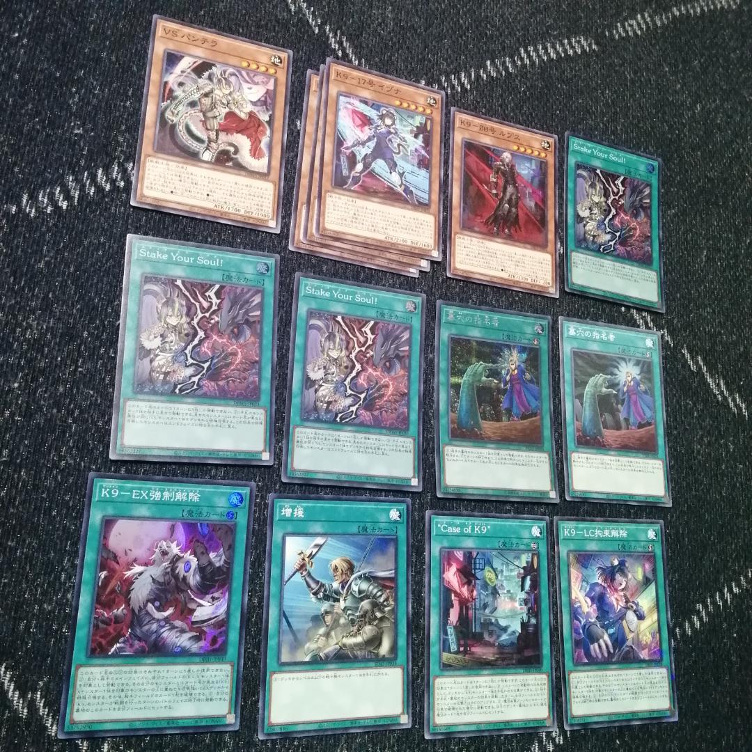 遊戯王　ヴァンキッシュソウル　VS　K9　デッキ　VSK9　ヨクル[03915]