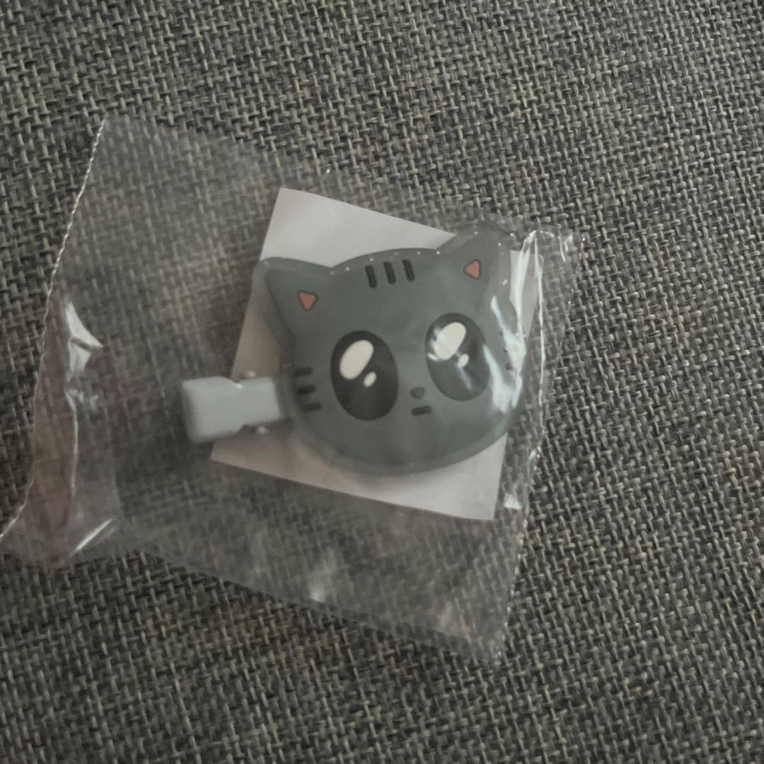 本日値下げ】TXT テヒョン ダゴニャン ヘアピン プルバトゥ カプセル